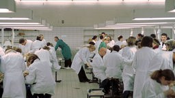 Medizinstudenten im Präparationssaal der Kölner Uniklinik