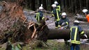 Feuerwehrmänner zersägen umgestürzte Bäume 