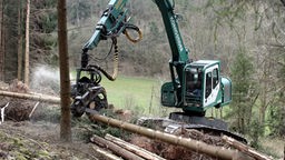 Forstmaschine zersägt umgestürzte Bäume