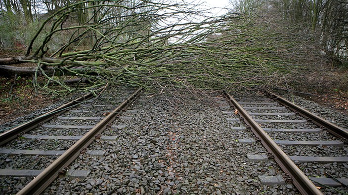 Ein umgestürzter Baum blockiert die Gleise der Bahn bei Essen