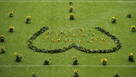 Einundzwanzig Blumen liegen am Sonntag (24.07.11) in Duisburg in der MSV-Arena auf dem Rasen