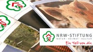 Broschüren der NRW-Stiftung