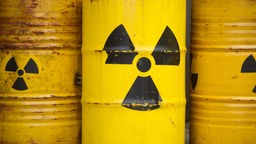 Mit gelben Tonnen und dem Radioaktiv-Zeichen demonstrieren Greenpeace-Aktivisten gegen das Atommüllendlager in Gorleben