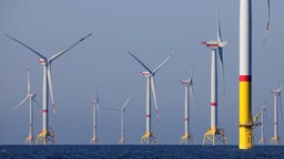 Windenergie offshore Mecklenburg-Vorpommern in Sassnitz