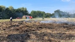 Brandspuren auf dem Meßdorfer Feld