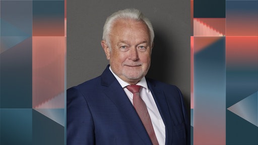 Wolfgang Kubicki, FDP