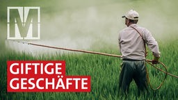 Gefährliche Pestizide: Milliardengeschäfte für deutsche Unternehmen