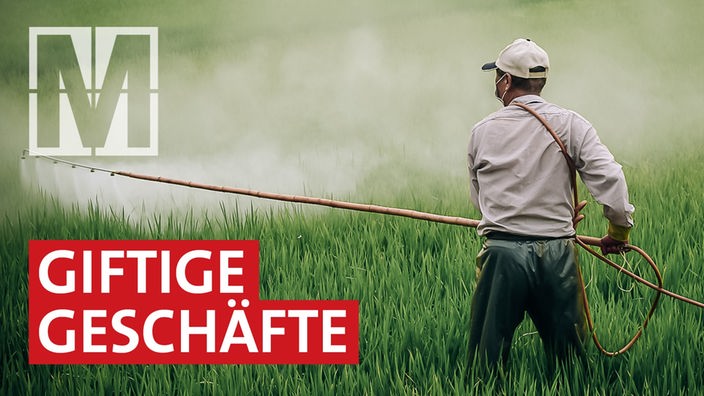 Gefährliche Pestizide: Milliardengeschäfte für deutsche Unternehmen