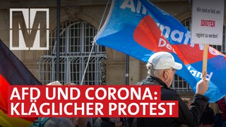 Hauptsache Protest: Corona-Demos und die AfD