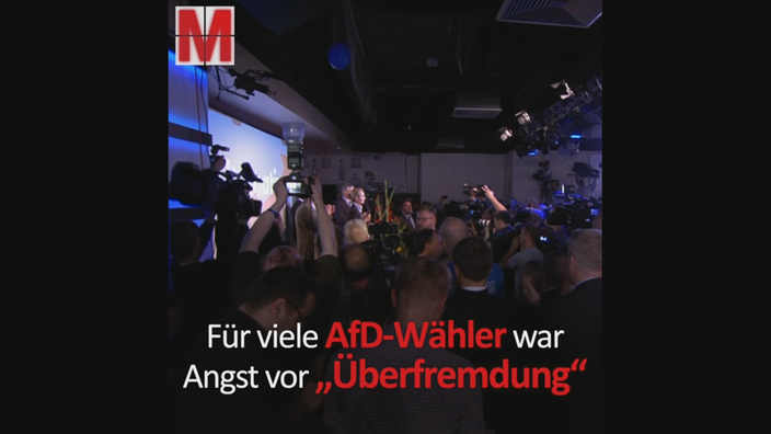 Wahl paradox: AfD-Erfolge und Migrantenanteil