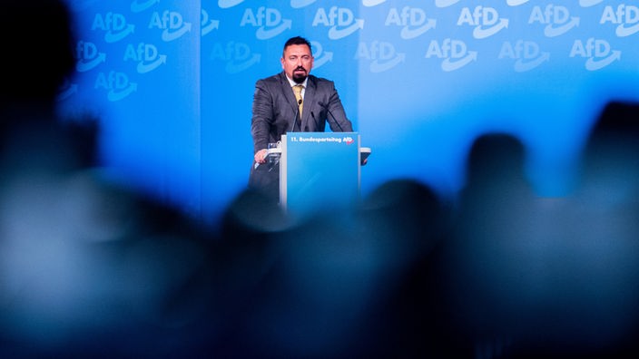 Der AfD-Politiker Dubravko Mandic spricht beim AfD-Bundesparteitag am 29.11.2020.