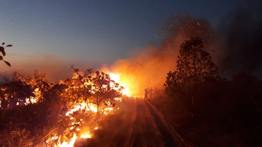 Eine Gruppe beobachtet einen Waldbrand im Naturpark Chapada dos Guimaraes.