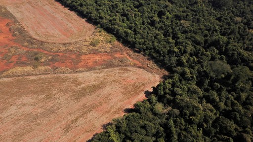 Eine Luftaufnahme zeigt die Abholzung in der Nähe eines Waldes an der Grenze zwischen Amazonien und Cerrado (28.07.2021).