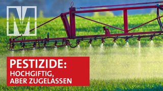 Warum hochgiftige Pestizide völlig legal auf deutschen Feldern landen