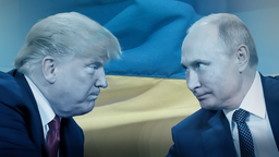 US-Präsident Trump und Russlands Präsident Putin vor einer ukrainischen Fahne