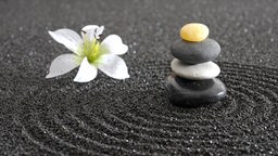 Zen-Garten mit Steinen und Lotus-Blüte
