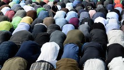 Muslime gebeugt auf dem Boden einer Mosachee beim Gebet
