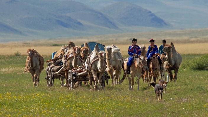 Mongolen reiten auf ihren kleinen Pferden und werden von Wagen, die von Dromedaren gezogen werden, begleitet.