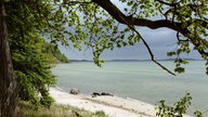 Ein kleiner Ostseestrand mit weißem Sand und mattgrünem Wasser.