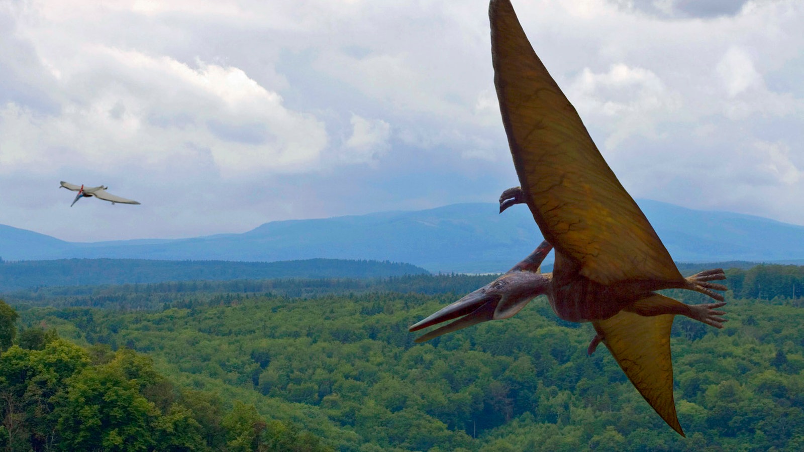 Bilder Dinosaurier Ausdrucken: Dein Abenteuer in der Urzeit beginnt!