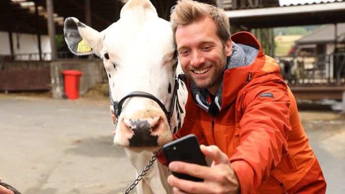 Reporter Daniel Assmann mit einer Kuh