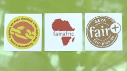 Das Bild zeigt drei verschiedene fairtrade Siegel.