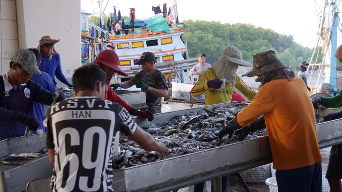 Thailändische Fischer sortieren ihre Ausbeute