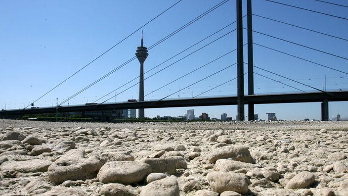 Steiniges Flussbett des Rheins, im Hintergrund eine Brücke und der Düsseldorfer Fernsehturm
