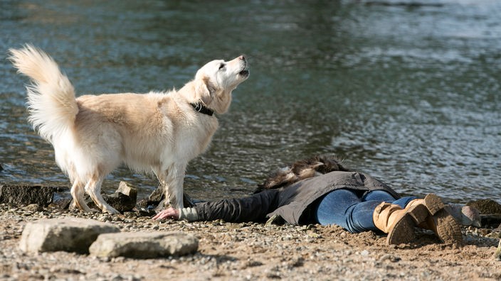 Ein Hund steht an einem Flussufer und bellt neben einer leblos am Boden liegenden Person