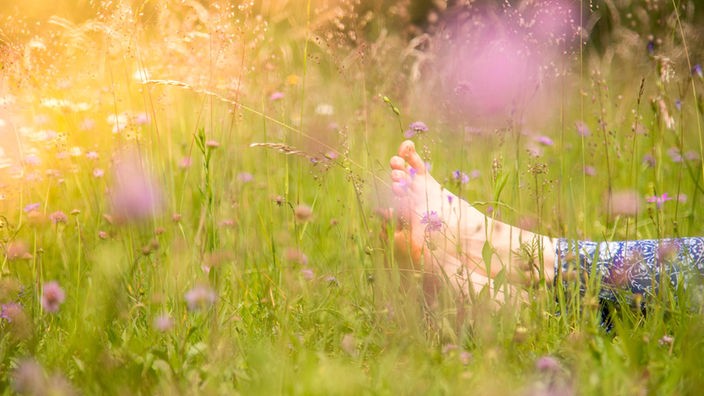 Ein paar Füße ruht in einer blühenden Sommerwiese.