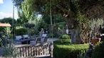 „Petit Provence“ in Alexandra Straßburgers Garten. 