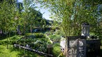 Blick in den Garten von Caro Schulte-Bisping.