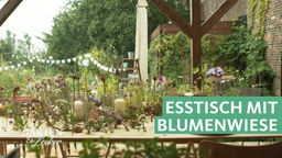 Gartentipp von Björn Kroner: Esstisch mit Blumenwiese