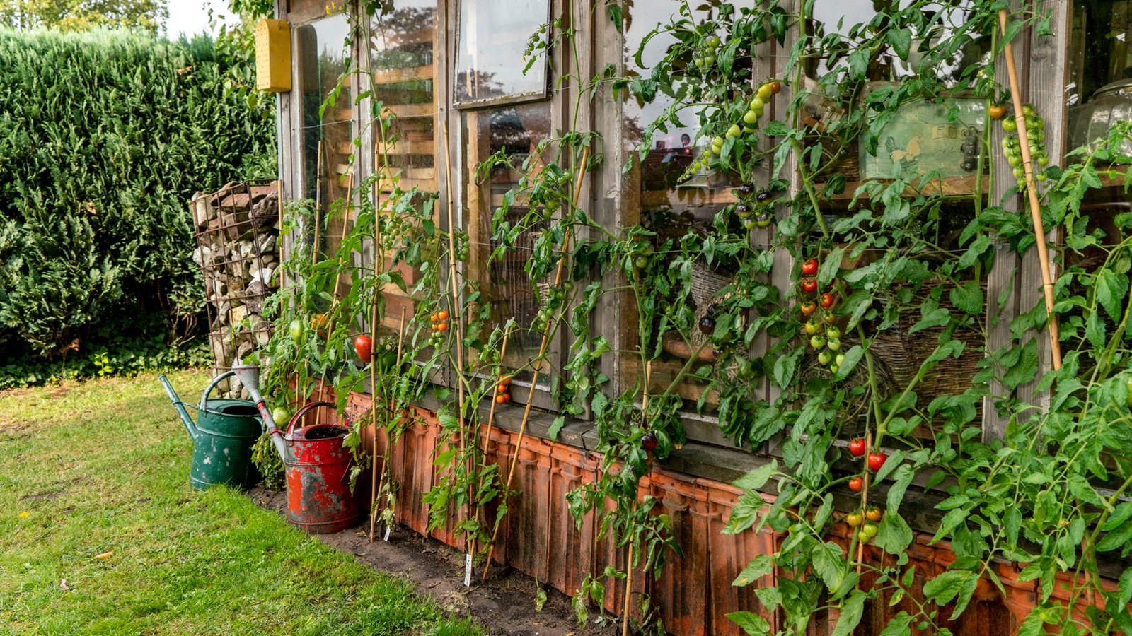 Ein Tag auf dem Lande Garten und Lecker Fernsehen