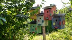 Vogelhäuschen im Garten von Petra Wichert 