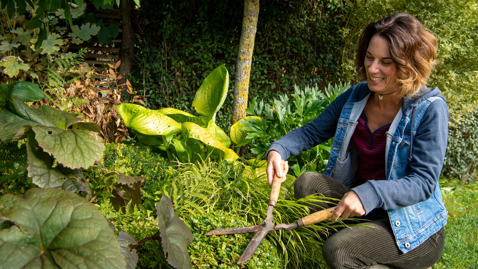 Grüne Wohlfühloase Garten Und Lecker Fernsehen Wdr 