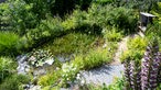 Wasserstelle im Naturgarten von Tanja Matthes aus Velbert-Langenfeld.