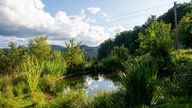 Weitblick von Walburga Schillingers Hof.