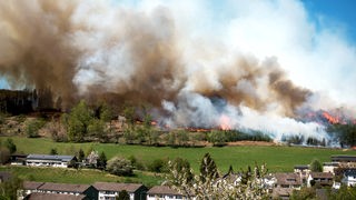 Blick auf einen Wald in Flammen, im Vordergrund Wohnhäuser