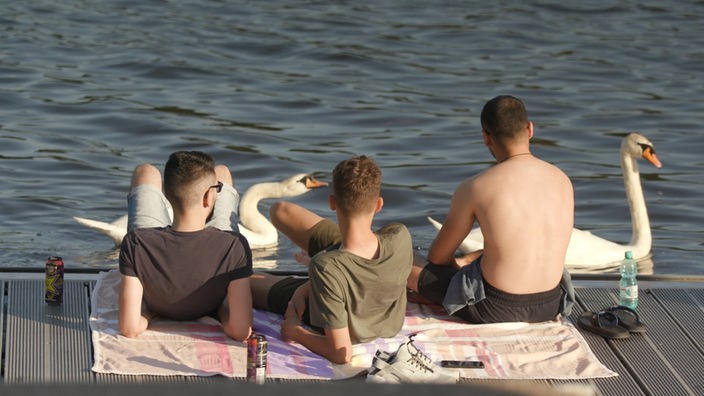 Drei junge Männer sitzen auf dem Steg, vor sich im Wasser zwei Schwäne