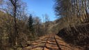 Blick auf ein stillgelegtzes Eisenbahngleis, links und rechts Bäume