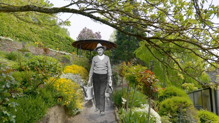 Collage sw-Foto von Konrad Adenauer mit Gießkannen auf buntem Garten