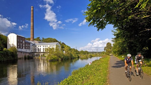 Blick auf die Ruhr, im Vordergrund eine Allee mit Radweg, im Hintergrund die Horster Mühle