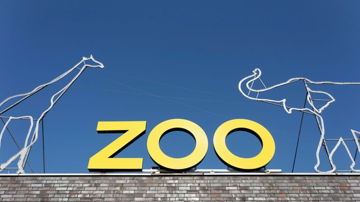 Der Schriftzug ZOO, eine symbolisierte Giraffe und ein symbolisiertr Elefant auf einer Mauer