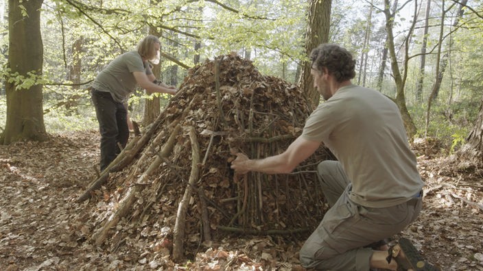 Der Bau einer Laubhütte im Wald