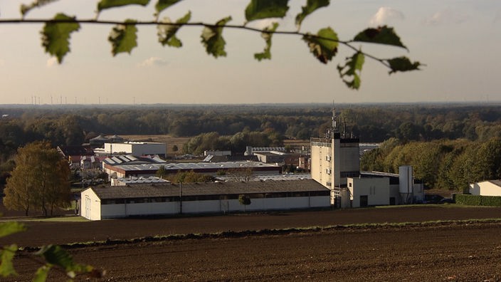 Blick aus der Ferne auf ein Fabrikgebäude im Grünen, das von Feldern umgeben ist