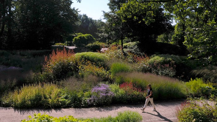 Eine Frau spaziert durch einen leicht hügeligen Park, der mit Wildblumen und Bäumen bepflanzt ist