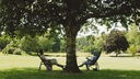 Zwei Menschen sitzen unter einem Baum im Park