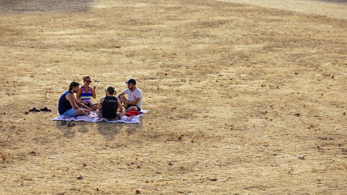 Luftaufnahme, vier junge Menschen sitzen auf einer Decke auf einer vertrockneten Rasenfläche