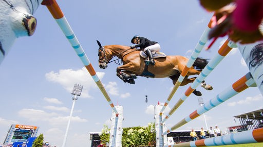 Ein Reiter und Pferd springen über eine Doppelstange, nah vom Boden aus fotografiert